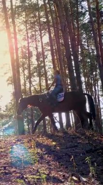 Ata binmek. Malzeme. Genç bayan, atlı adam ormanda kahverengi ata biniyor. Güneşli yaz gününde, güneş ışınlarında..