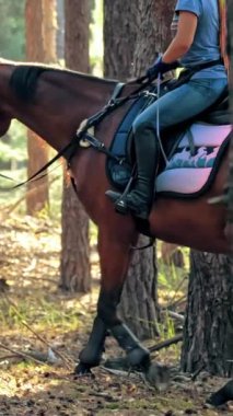 Ata binmek. Malzeme. Genç bayan, atlı adam ormanda kahverengi ata biniyor. Güneşli yaz gününde, güneş ışınlarında..