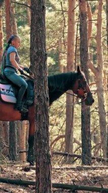 Ata binmek. Malzeme. Genç bayan, atlı adam ormanda kahverengi ata biniyor. Güneşli yaz gününde, güneş ışınlarında..