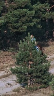 Ata binmek. Malzeme. Genç bayan, atlı adam ata biniyor, çam ormanının yakınındaki kumlu bir yolda dörtnala koşuyor, gün batımında, ılık yaz güneşlerinde.