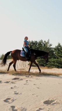 Ata binmek. Malzeme. Genç atlı kadın kum tepelerinde at sürüyor, kumlu yol boyunca, çam ormanlarının arasında, gün batımında, ılık yaz güneşlerinde.