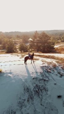 Ata binmek. Malzeme. Havacılık. Üst Manzara. Sürücü siluetleri ve bir at. Atlı kadın kumlu tepede ata biniyor, çam ormanlarında, gün batımında, güneş ışınlarıyla.
