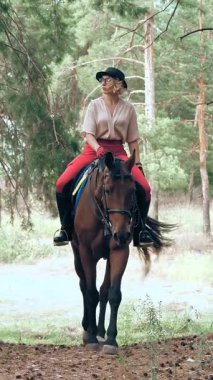 Igbt insanlarının hayatı. Gökkuşağı. Aynı cinsiyette aşk. Aynı cinsiyetten genç bir çift lezbiyen kadın ortak hobileri olan ata biniyorlar..