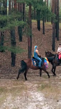 İgbt. Gökkuşağı. Aynı cinsiyette aşk. Lezbiyen kadınların genç çifti ortak bir hobiyle meşgul, ata biniyorlar. Kız arkadaşlar ormanda at biniyor, eğleniyorlar.