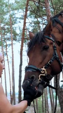 İgbt. Gökkuşağı. Binicilik. Binici kız, atlı kadın, gökkuşağı saçlı rastalı, ormanda yürürken atına şekerlemelerle davranıyor.