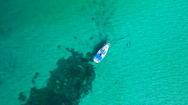 Vertical Birds Eye View Drone Dream Beach Formentera Ibiza Summer — Stock Video