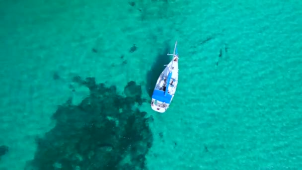 Вертикаль Взгляд Птиц Дрон Мечты Пляж Formentera Ibiza Летом 2022 — стоковое видео