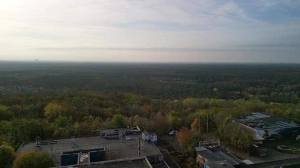 Sonbahar Ormanında Sabah Gündoğumunda Şeytan Dağı Berlin Ormanlarında Ekim 2022 — Stok video