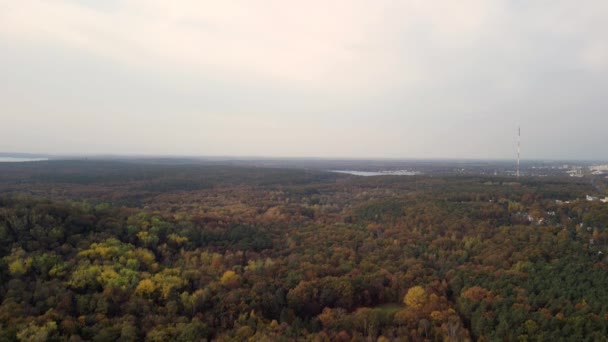 パノラマ概要2022年10月のベルリンの秋の森での朝の日の出 4K映画 — ストック動画