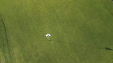2022 yazında Brandenburg Ormanı 'ndaki golf sahasının dikey kuşları göz teması kurmuş. 4k Sinematik