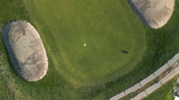 Verticale Vogels Oog Blik Drone Van Golfbaan Het Bos Brandenburg — Stockvideo