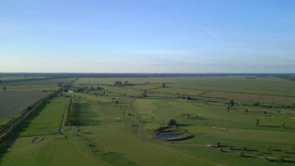 Tripé Estático Pairando Drone Campo Golfe Nas Florestas Brandenburg Verão — Vídeo de Stock