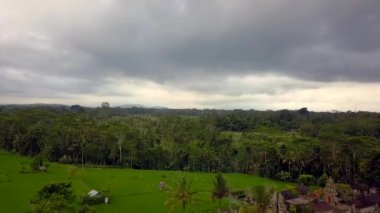 2017 yazında Bali Ricefield 'ın insansız hava aracını indir. HD SinematikName