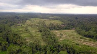 2017 yazında Bali Riccefield 'ın panorama genel bakış insansız hava aracı. HD SinematikName