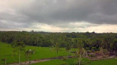 2017 yazında Bali Riccefield 'ın panorama genel bakış insansız hava aracı. HD SinematikName