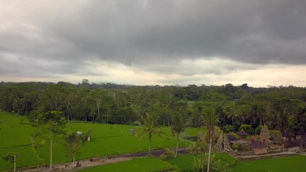 2017 Yazında Bali Riccefield Panorama Genel Bakış Insansız Hava Aracı — Stok video