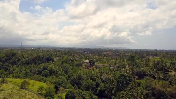 Panorama Επισκόπηση Drone Bali Jungle Καταρράκτη Ημέρα Καλοκαίρι 2017 Κινηματογραφική — Αρχείο Βίντεο