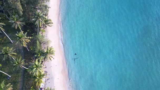 Vertical Birds Eye View Drone Island Koh Kood Taphao Golden — 비디오