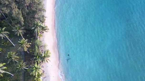 Vertical Birds Eye View Drone Island Koh Kood Taphao Golden — Video