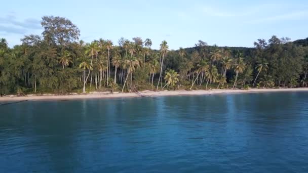 右の無人島にブームスライドコッドタパオ 黄金の時間2022年 4K高品質のシネマティック映像 — ストック動画
