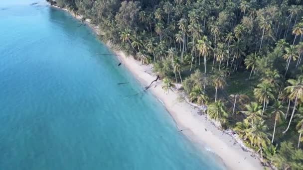 Birds Eye View Drone Island Koh Kood Taphao Golden Hour — Video