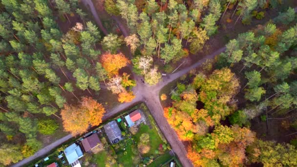 Vertical Birds Eye View Drone Allotment Gardens Berlin Teufelsberg Autumn — Vídeo de Stock
