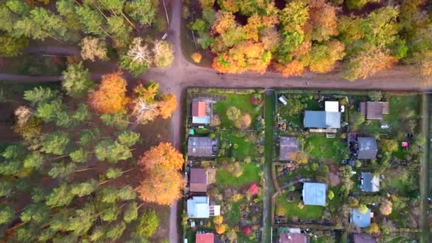 Vertical Birds Eye View Drone Allotment Gardens Berlin Teufelsberg Autumn — Vídeo de stock