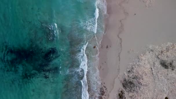 Vertical Birds Eye View Drone Beach Formentera Island Ibiza Spain — Stockvideo