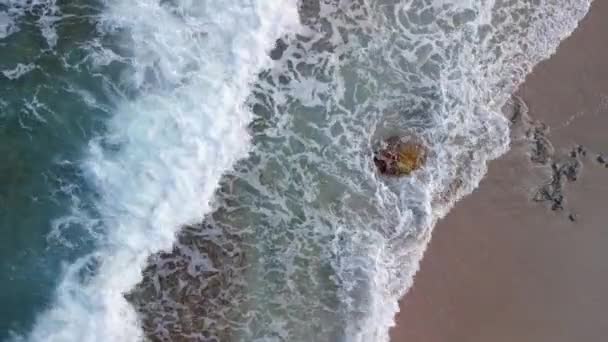 Κάθετα Πουλιά Άποψη Drone Παραλία Formentera Νησί Ibiza Spain Πτώση — Αρχείο Βίντεο