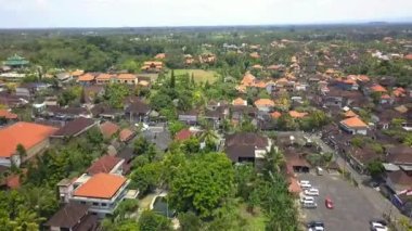panorama curved drone in Bali Ubud, Spring 2017. High Quality Cinematic footage