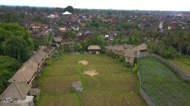fast pull in panorama overview drone Bamboo hut resort hotel with blue Swimmingpool in Bali Ubud, Spring 2017. High Quality Cinematic footage