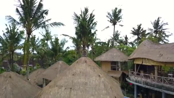 Descending Drone Bamboo Hut Resort Hotel Blue Swimmingpool Bali Ubud — Stock Video
