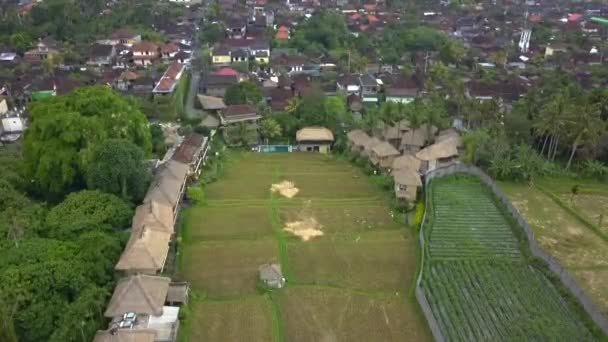 Panorama Overview Drone Bamboo Hut Resort Hotel Blue Swimmingpool Bali — Video
