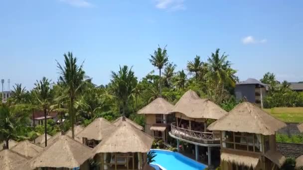 Descending Drone Bamboo Hut Resort Hotel Blue Swimmingpool Bali Ubud — 비디오