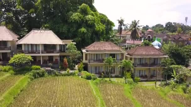 Ascending Drone Resort Hotel Blue Swimmingpool Bali Ubud Spring 2017 — Stockvideo