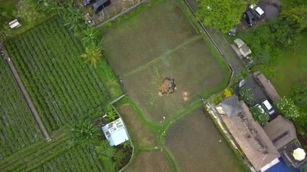 Vertical Birds Eye View Drone Bamboo Hut Resort Hotel Blue — Video