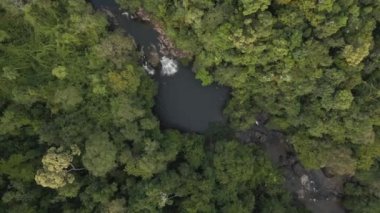 vertical birds eye view drone thailand jungle khlong chao on island ko kut, dezember 2022. High Quality 4k Cinematic footage