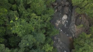 tilt up drone thailand jungle khlong chao on island ko kut, dezember 2022. High Quality 4k Cinematic footage