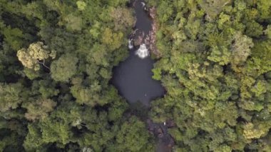 tilt up drone thailand jungle khlong chao on island ko kut, dezember 2022. High Quality 4k Cinematic footage
