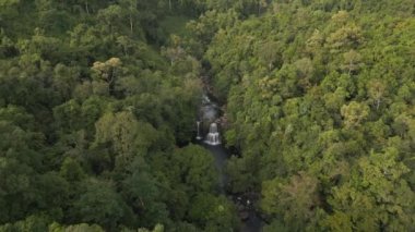 panorama overview drone thailand jungle khlong chao on island ko kut, dezember 2022. High Quality 4k Cinematic footage
