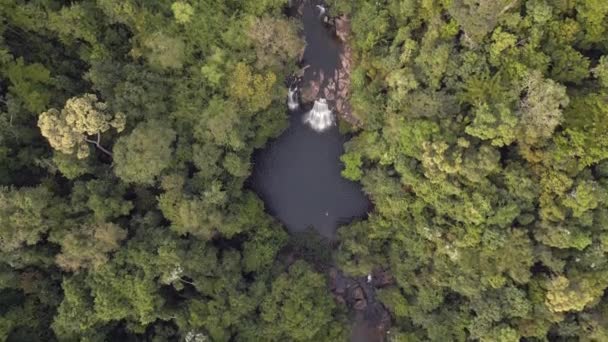Tilt Drone Thailand Jungle Khlong Chao Island Kut Dezember 2022 — стоковое видео