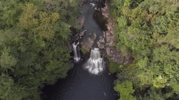 Drone Top View Thailand Jungle Khlong Chao Island Kut Dezember — Αρχείο Βίντεο