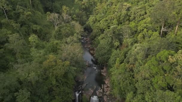 Panorama Overview Drone Thailand Jungle Khlong Chao Island Kut Dezember — Stockvideo