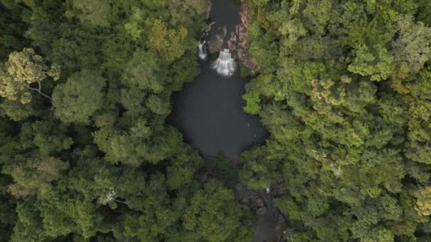 Vertical Birds Eye View Drone Thailand Jungle Khlong Chao Island — Wideo stockowe