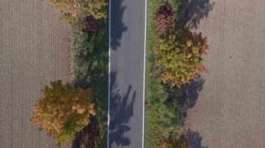 vertical birds eye view drone at country road alley street in germany Europe autumn 2022. High Quality 4k Cinematic footage