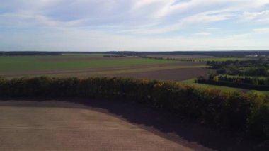 panorama overview drone at country road alley street in germany Europe autumn 2022. High Quality 4k Cinematic footage