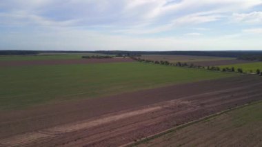 panorama overview drone at country road alley street in germany Europe autumn 2022. High Quality 4k Cinematic footage