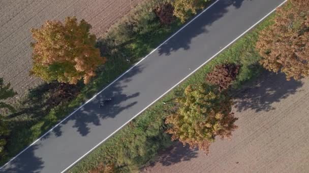 Vertical Birds Eye View Drone Country Road Alley Street Germany — Vídeo de Stock