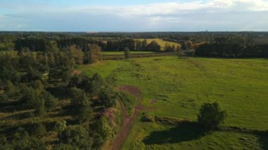descending drone of horses pasture field brandenburg havelland Germany at summer sunset 2022. High Quality 4k Cinematic footage