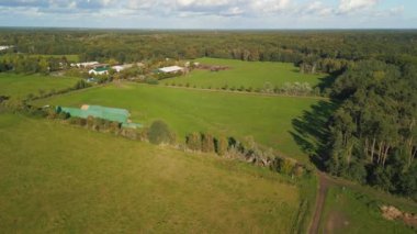 panorama overview drone of horses pasture field brandenburg havelland Germany at summer sunset 2022. High Quality 4k Cinematic footage